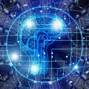 Information Technology Outsourcing