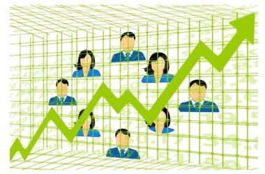 identity access management market