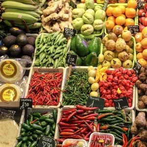 global nutraceutical market