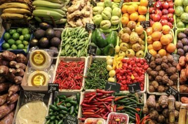 global nutraceutical market