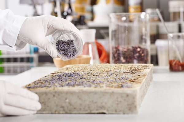 CONCEPT AND PRODUCT TESTING FOR PROTEIN PEZOS 2